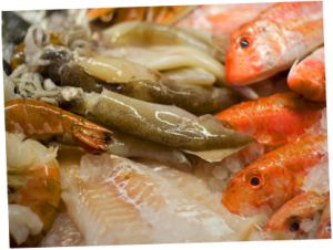 Pescheria Backi Pescheria Backi