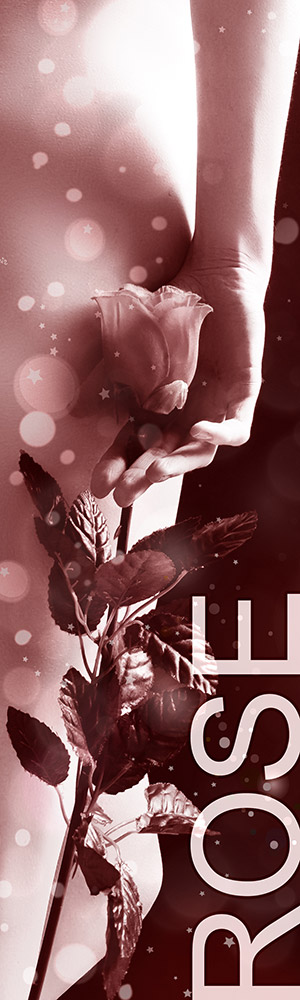 Status Rose - Honorarübersicht Escort Service Salzburg Status Rose - Honorarübersicht Escort Service Salzburg